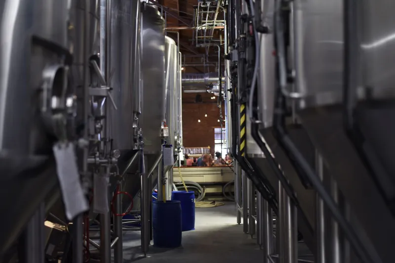 Alive, Unpredictable, and Absolutely Essential: The Wild World of Yeast in Craft Brewing
