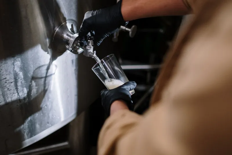 What's Actually in Your Pint: The Untold Story of Water and American Regional Beer